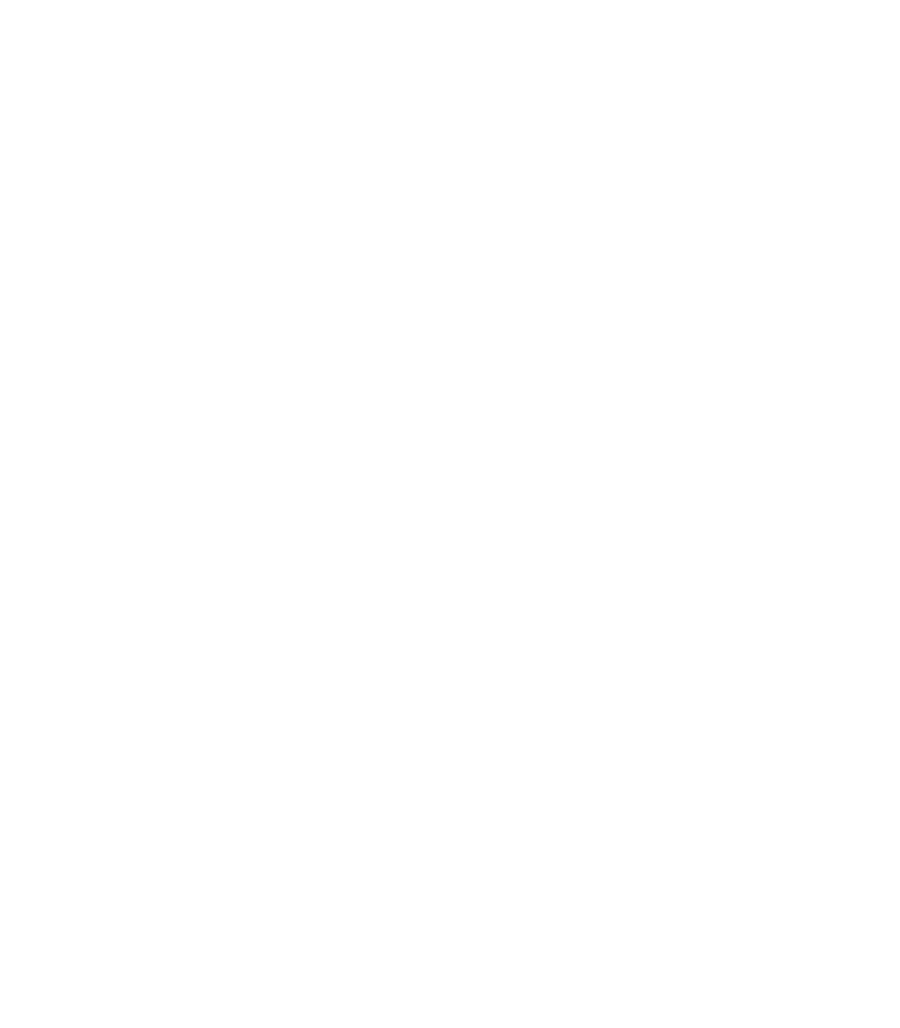 verification scammer influencer